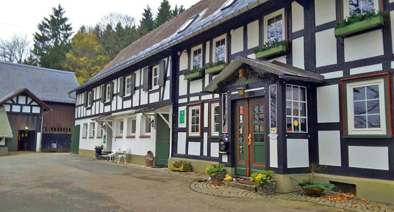 Гостевой дом Berghof Schmitte Винтерберг Экстерьер фото