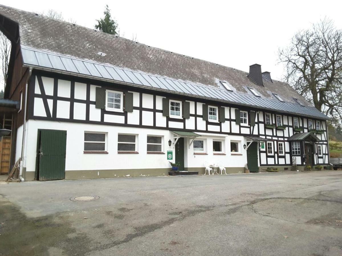Гостевой дом Berghof Schmitte Винтерберг Экстерьер фото